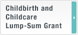 Childbirth and childcare lump-sum grant